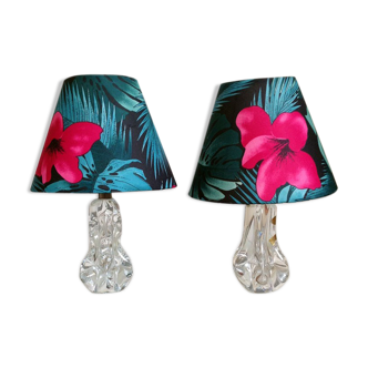 Pair of Crystal x jungle lamp