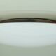 mid century modern luxus vittsjö ceiling light,  Uno & Östen Kristiansson,