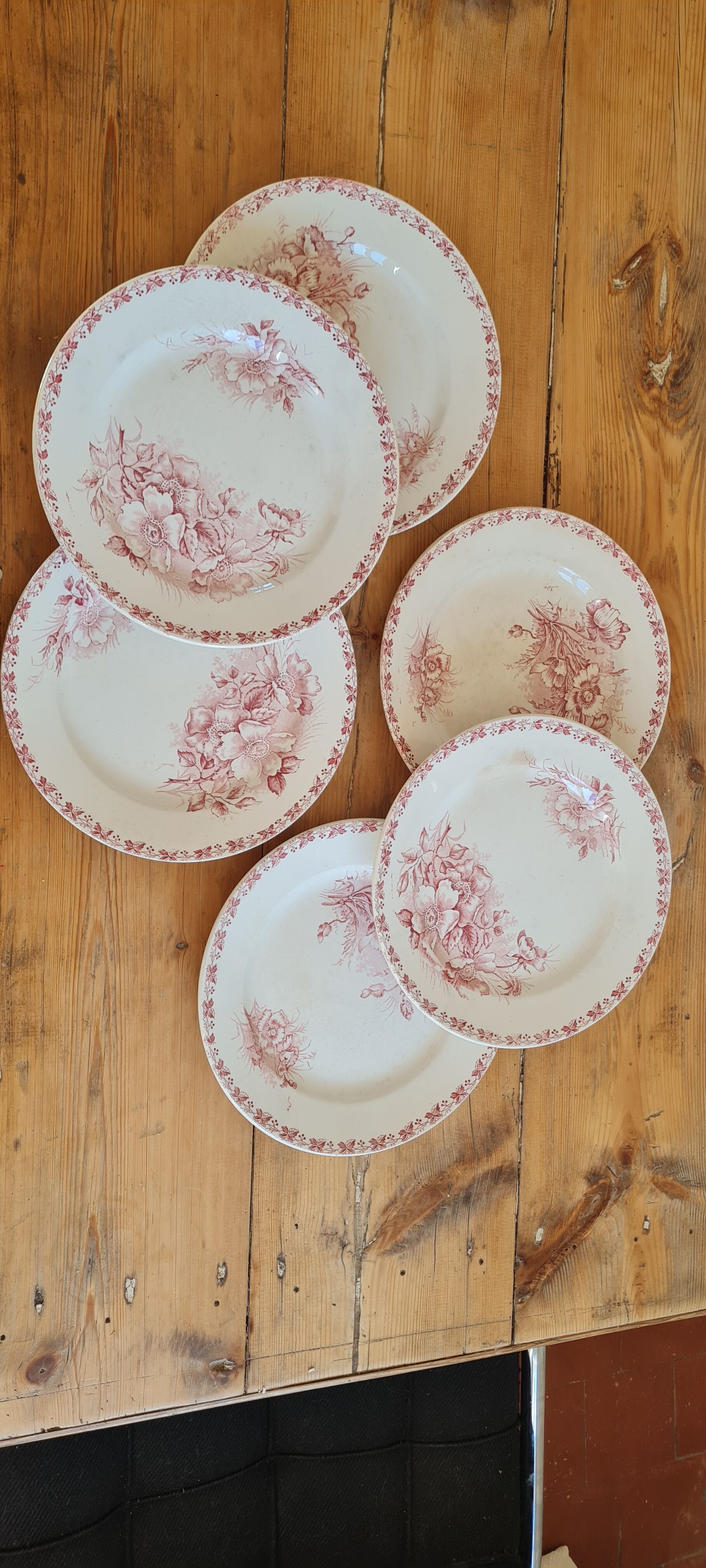 Serving of 6 plates in iron earth