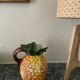 Pineapple slurry pitcher