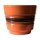 Orange planting