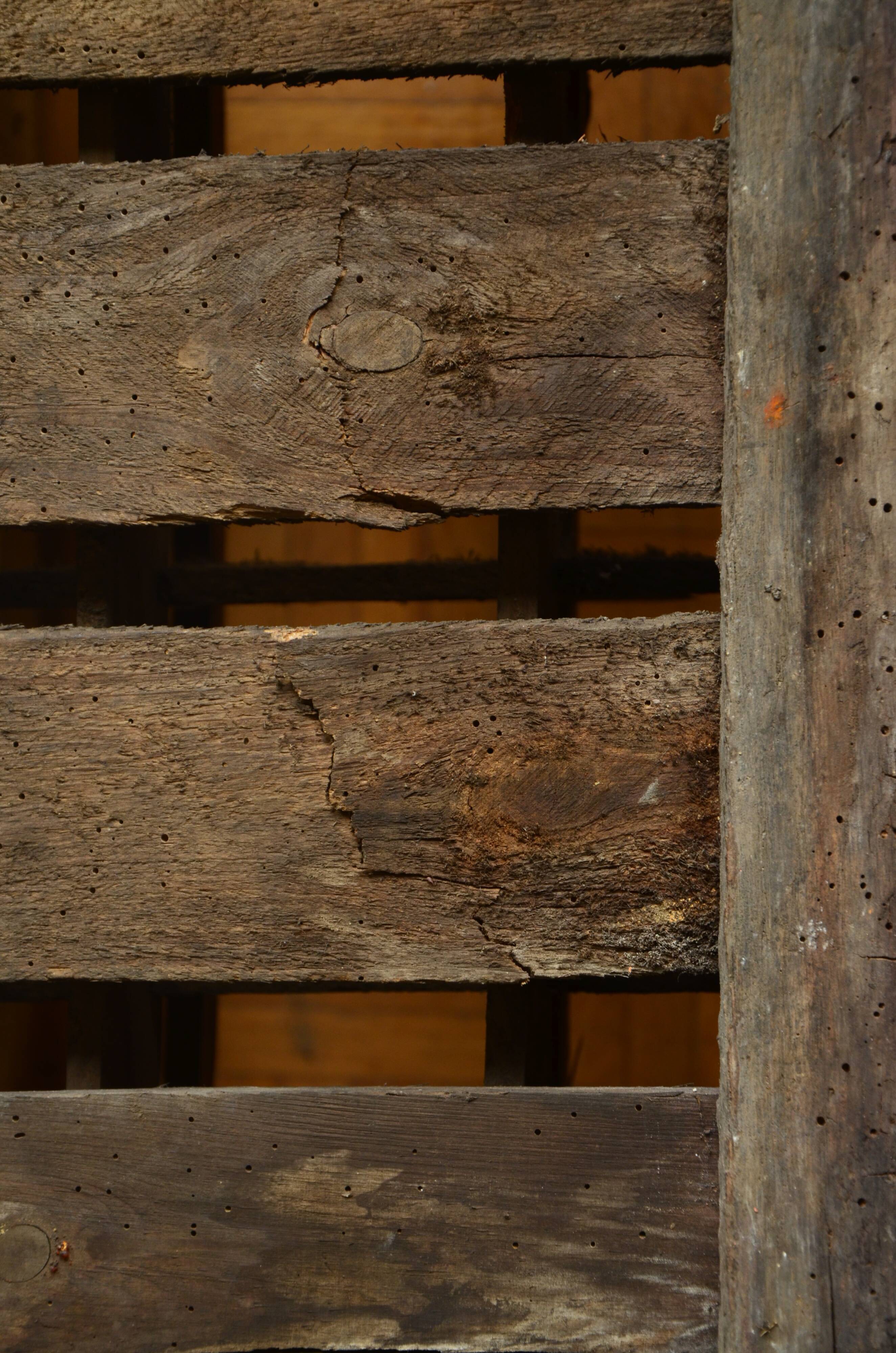 Old wooden bottles box