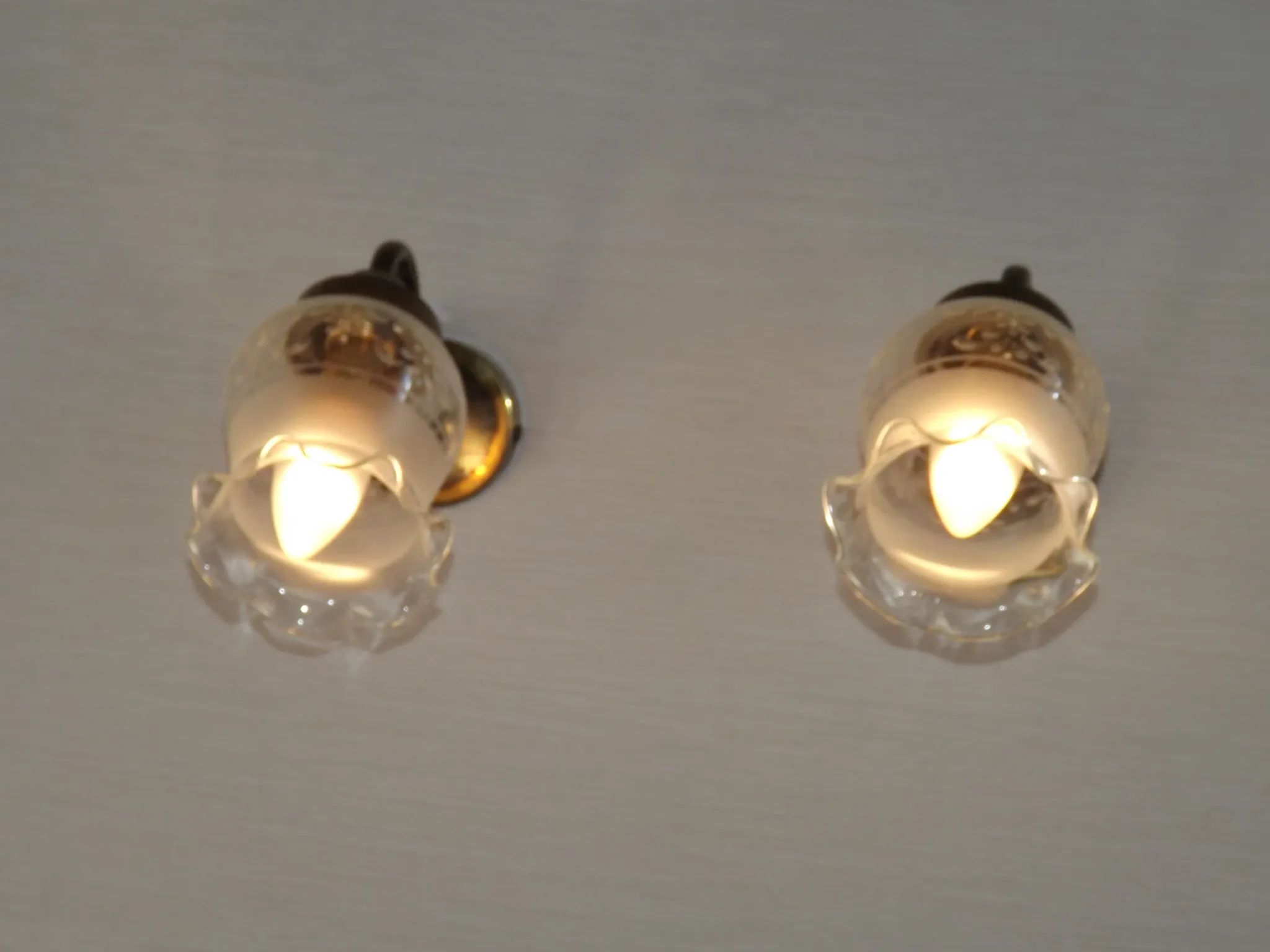 Pair of French Vintage Bronze Effect Metal Wall LIghts Floral Glass Shades