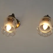 Pair of French Vintage Bronze Effect Metal Wall LIghts Floral Glass Shades
