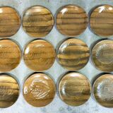 Set of 12 plates decorated with fish by robert picault