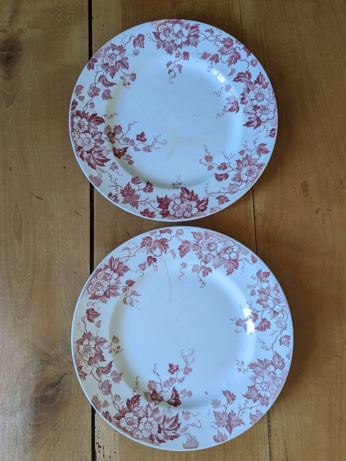 Assiettes Marion Saint Amand