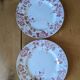 Assiettes Marion Saint Amand