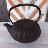 Japanese cast iron teapot