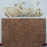 Show "The structure of the soil" 1953