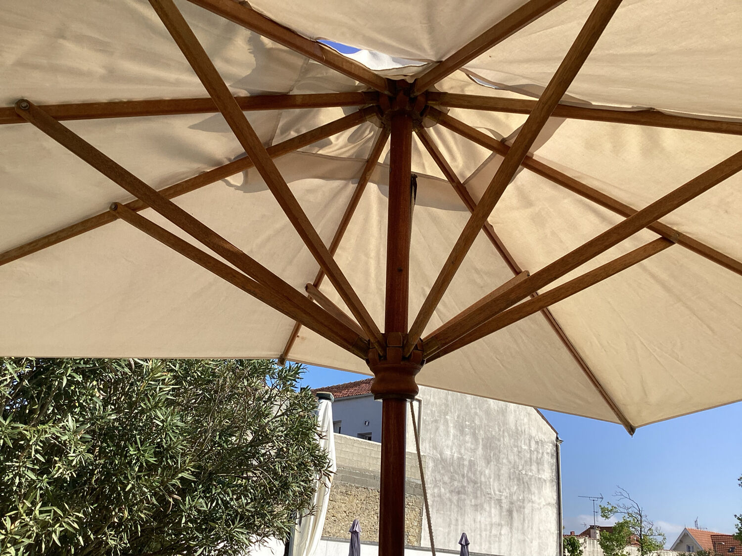 Parasol structure in exotic wood