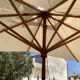Parasol structure in exotic wood