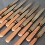 Suite of 12 dessert knives in gold metal blades