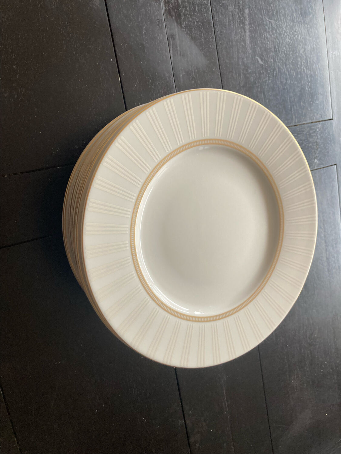 Guy Degrenne porcelain plates