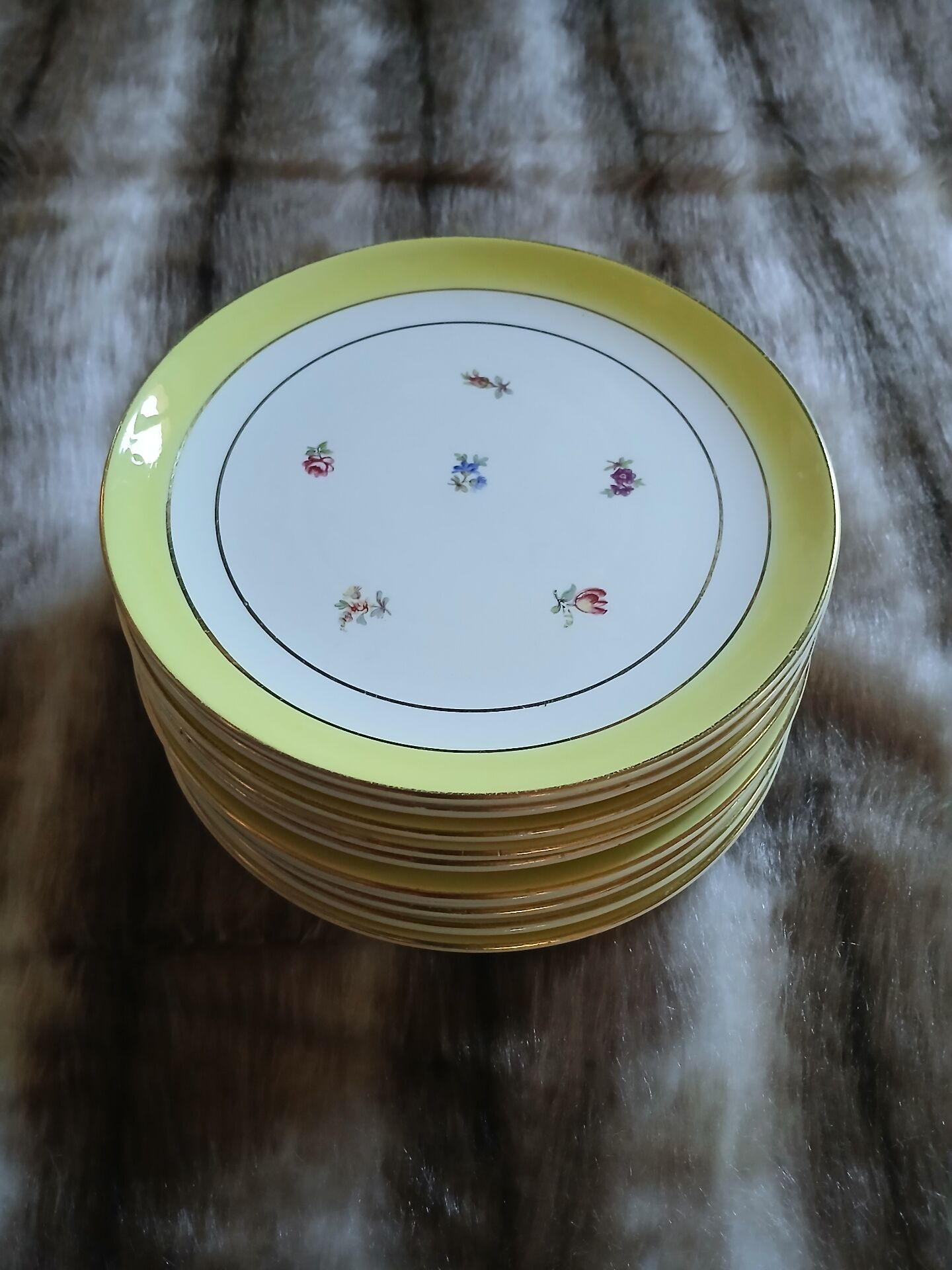 10 assiettes à dessert anciennes Gien 