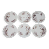 6 Superbes Assiettes Anciennes XIXème En Porcelaine Blanche Décor Oiseaux