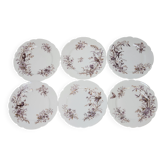 6 Superb Antique 19th Century White Porcelain Plates with Bird Decor