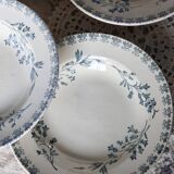 Antique deep plates in ivory and blue ironstone - Manufacture de G