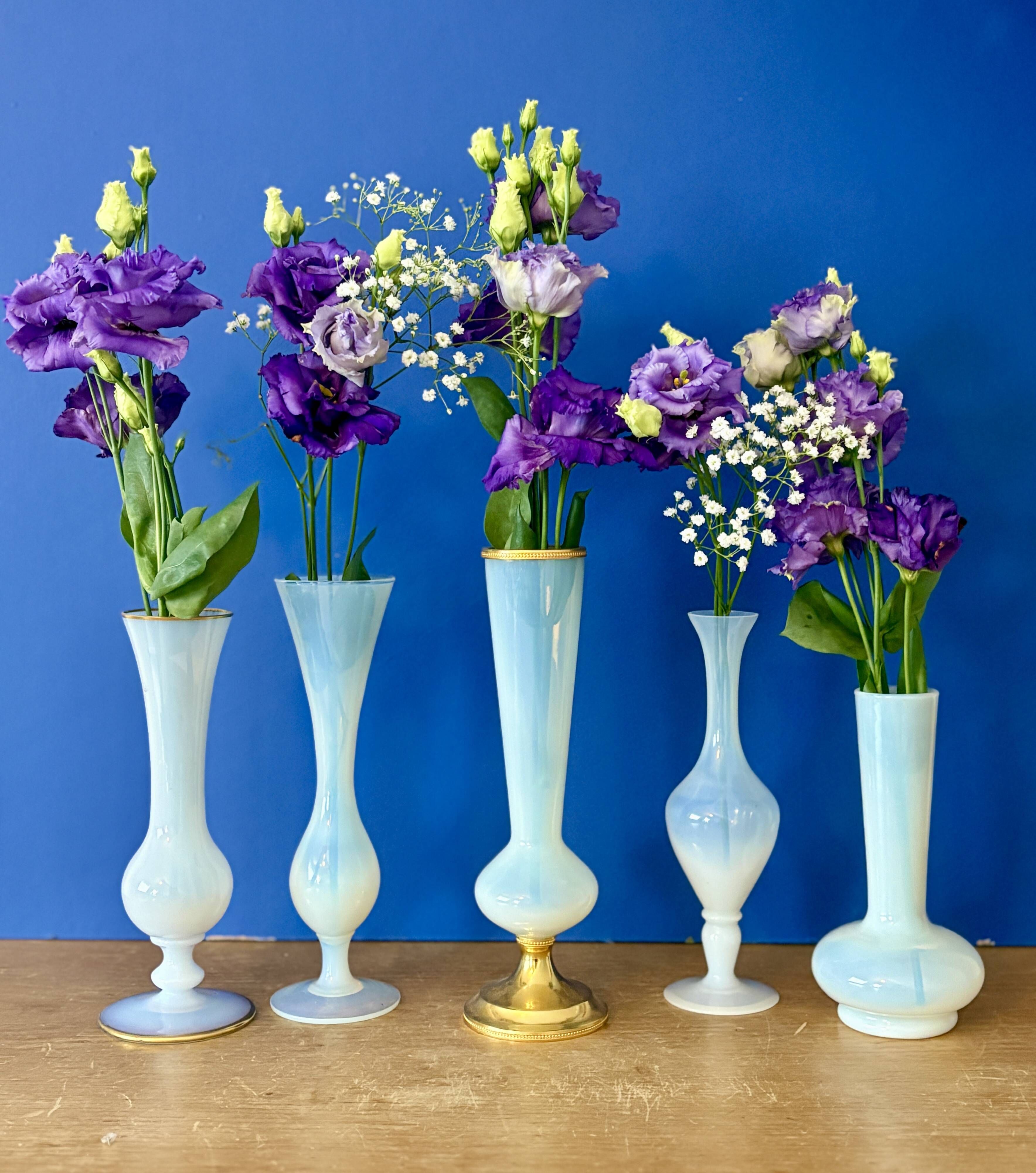 Set of 5 soliflores or antique vases in white opaline and brass.