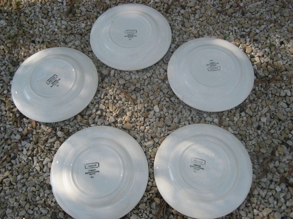 5 plates dessert DIGOIN model Sirocco