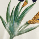 Underside of old faience dish