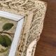 Vintage frame bird painting on a branch