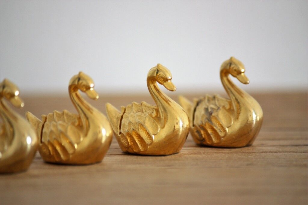 6 Golden swans bear name