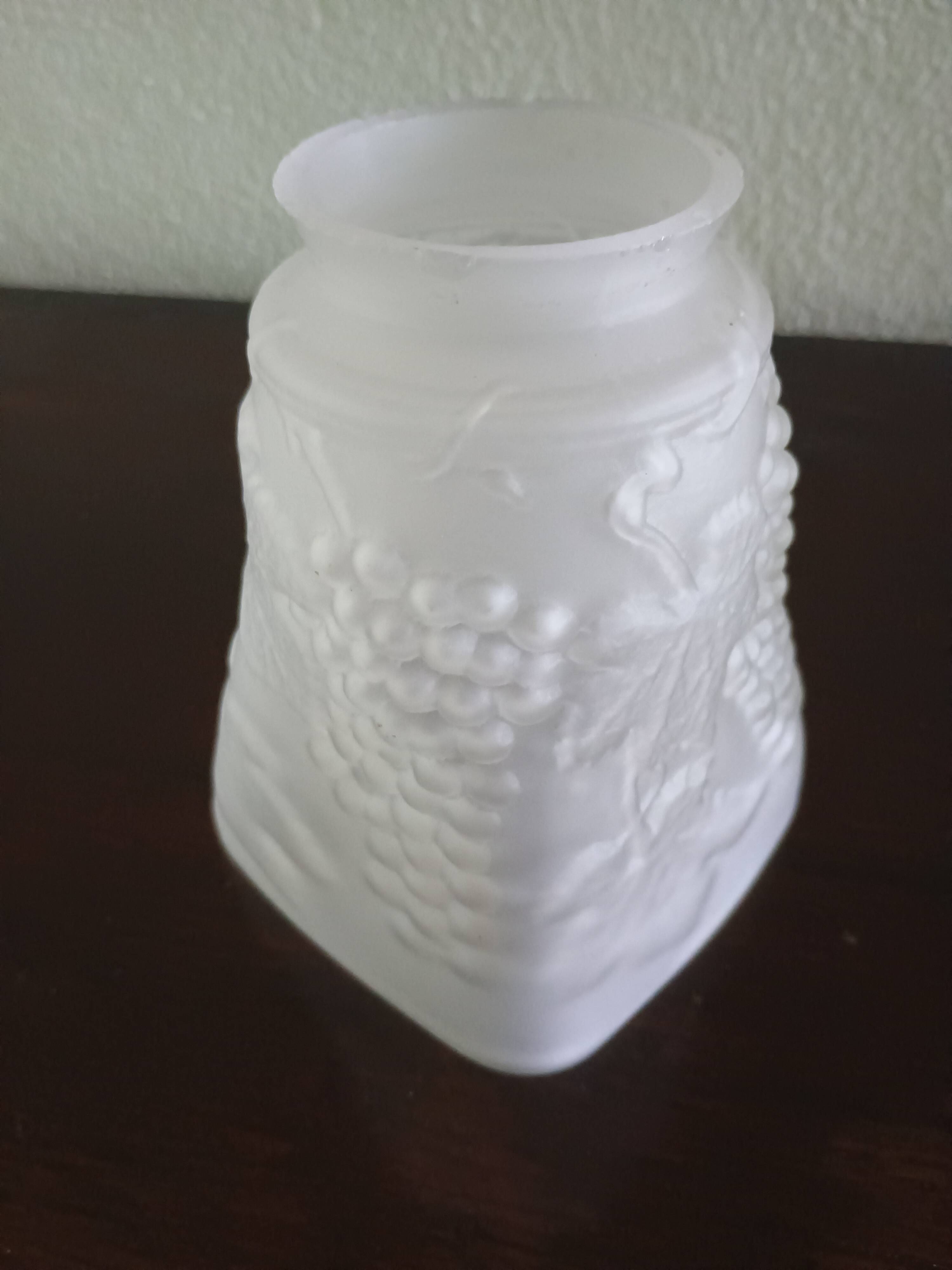 Tulipe lustre ou lampe moulé aux pampre de vigne raisin - verre dépoli