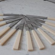 Set of 12 knives in stainless steel and bakelite "Yanid" years 60-70