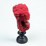 Antique red coral organ Tubipora musica on a wooden base, late 19th century