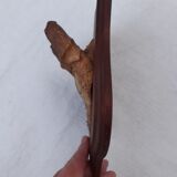 Hunting Trophy