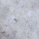 Bistro pedestal table in marble and cast iron lion paws