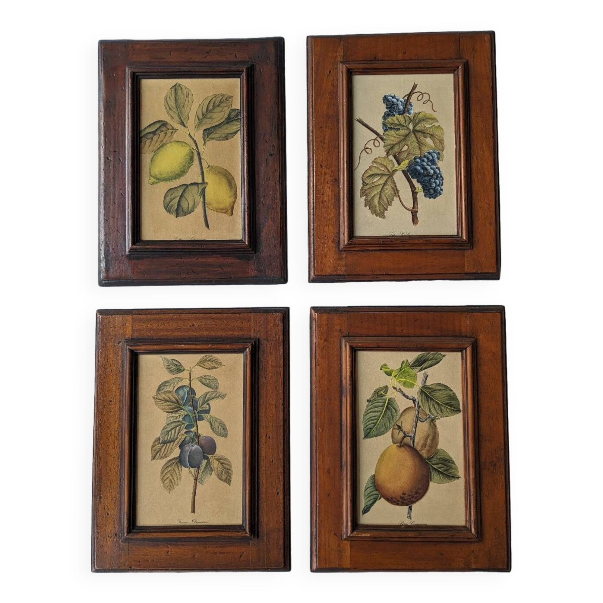 4 fruit paintings