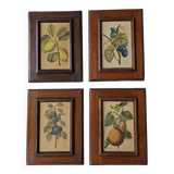 4 fruit paintings