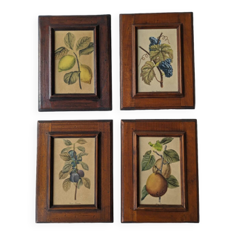 4 fruit paintings