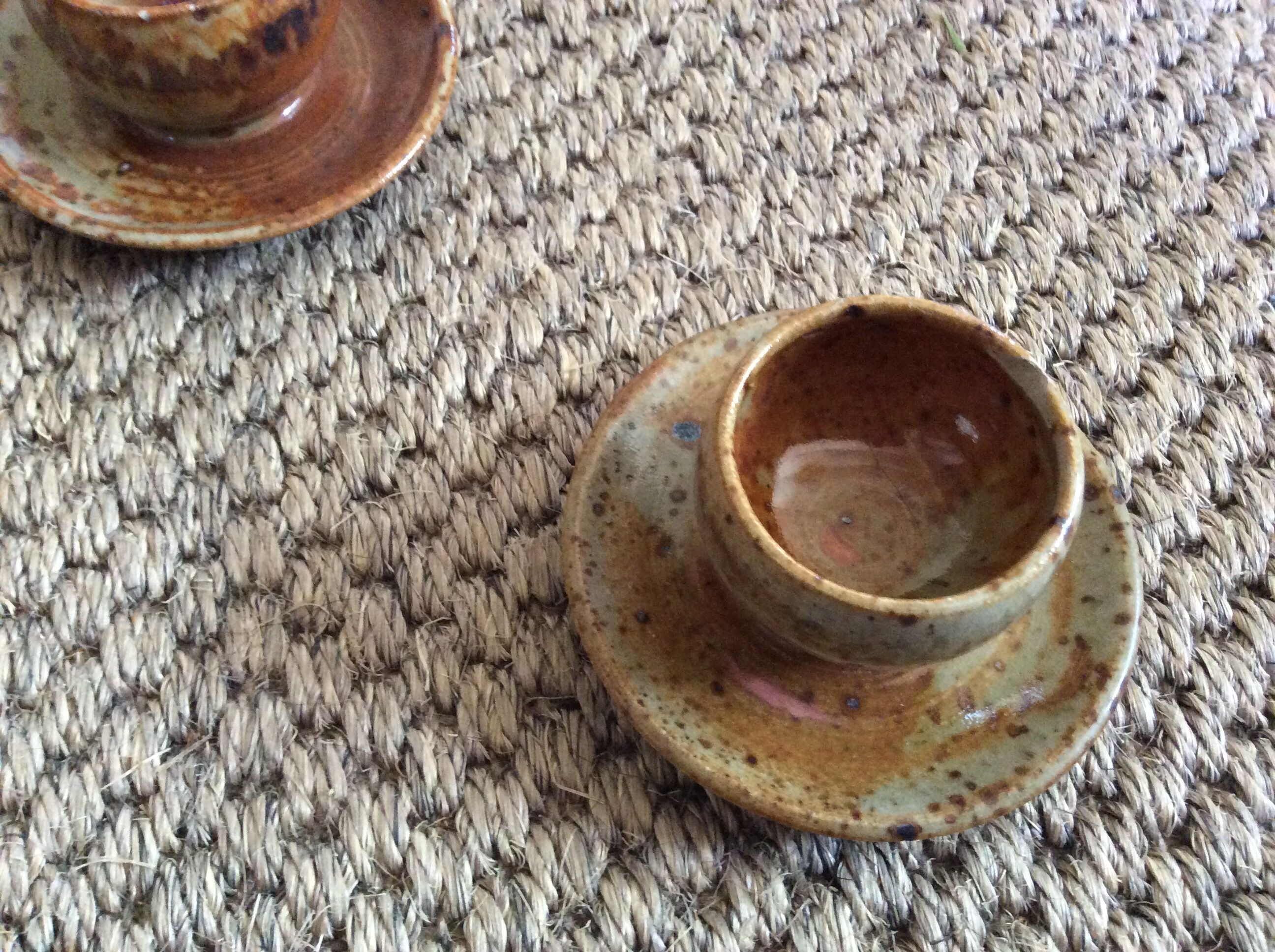 Series of 5 cockroaches