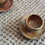 Series of 5 cockroaches