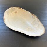 Vide poche coquillage en nacre