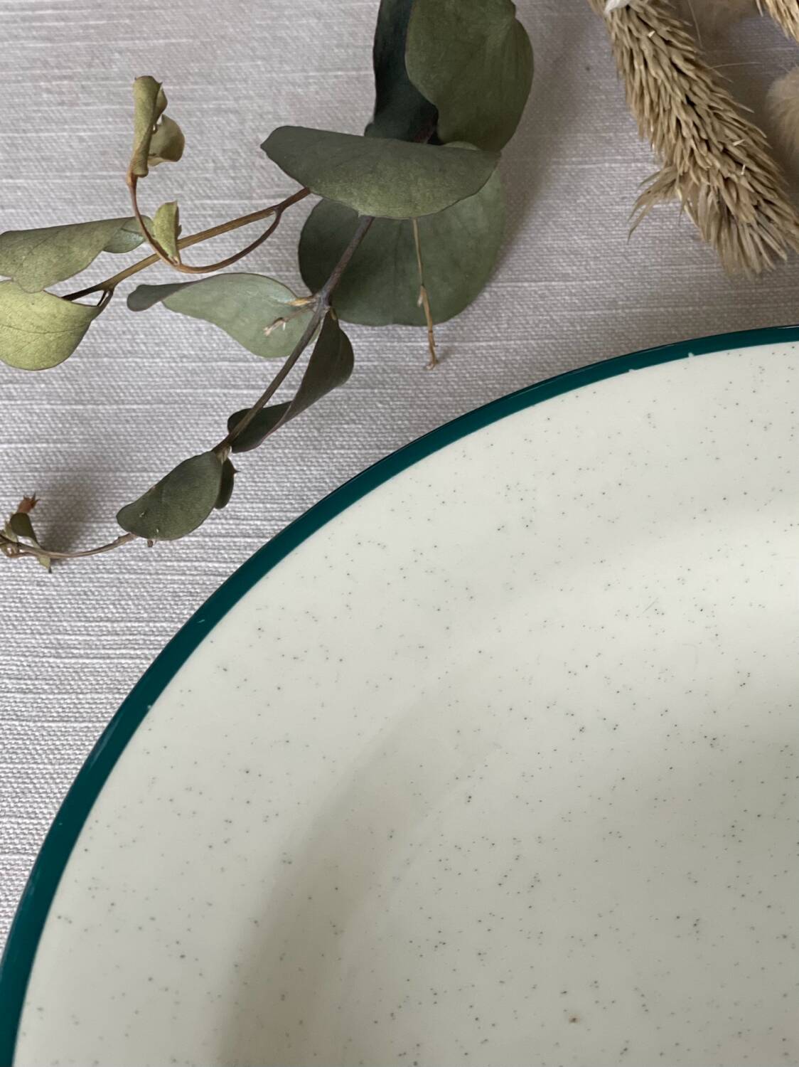 6 earthenware soup plates