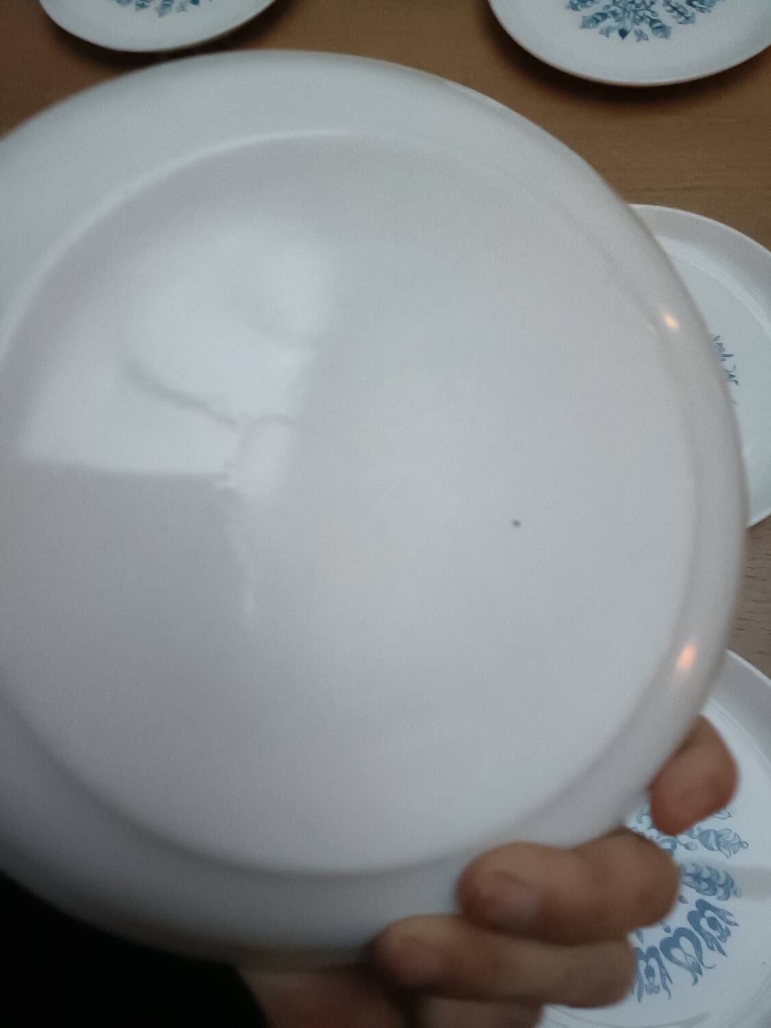 Six assiettes Sovirel, Malabar