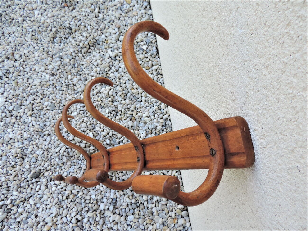 Wall door in curved wood 1900