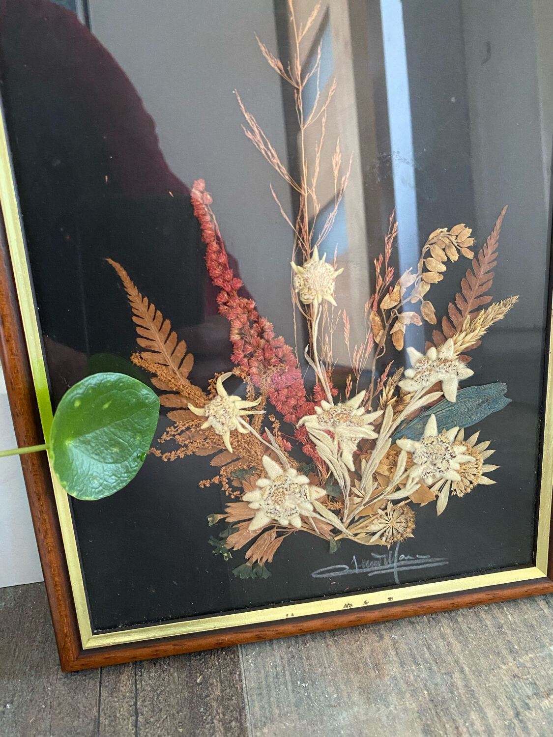 Dried flowers frame