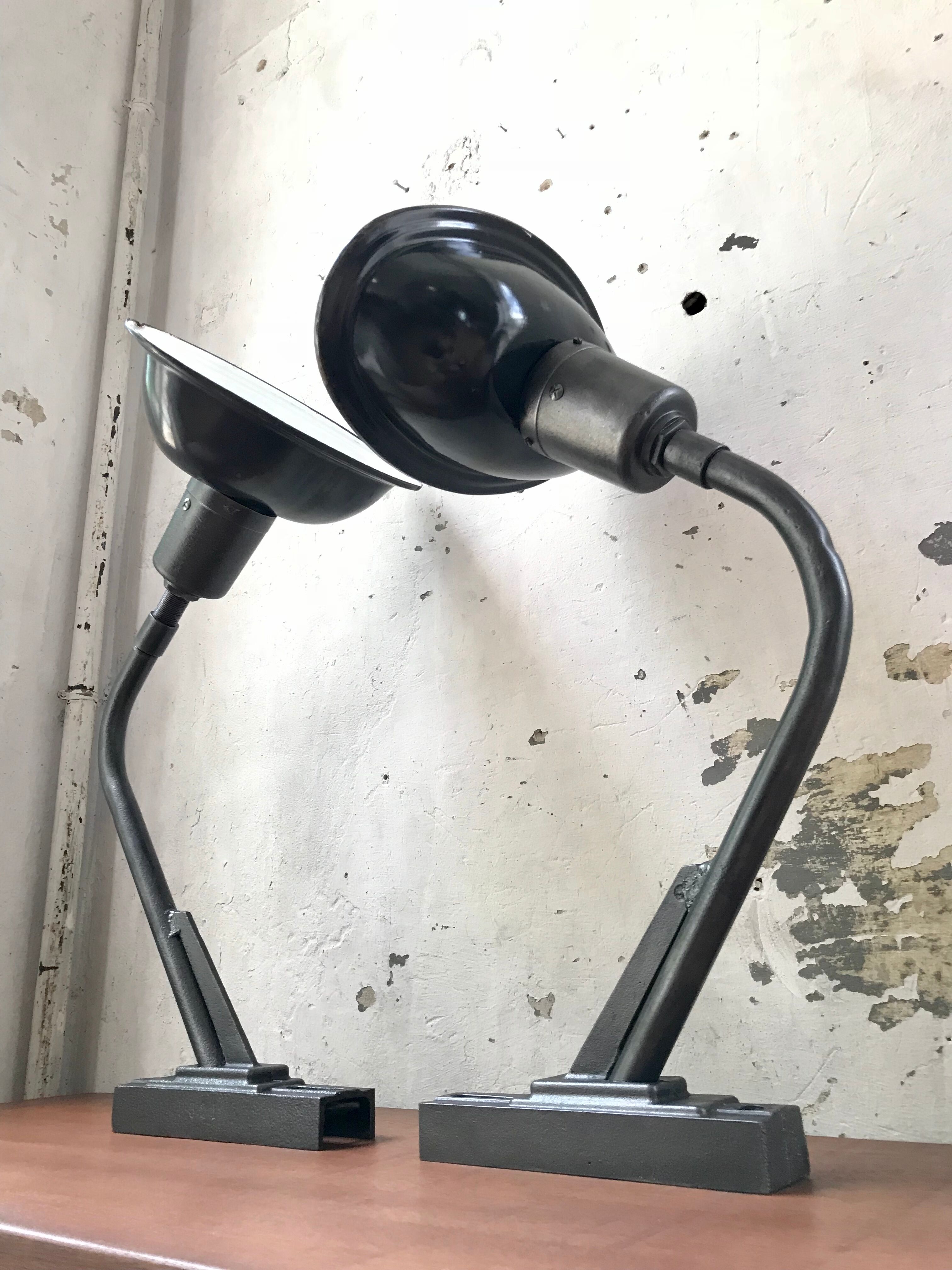 Pair of industrial lamps