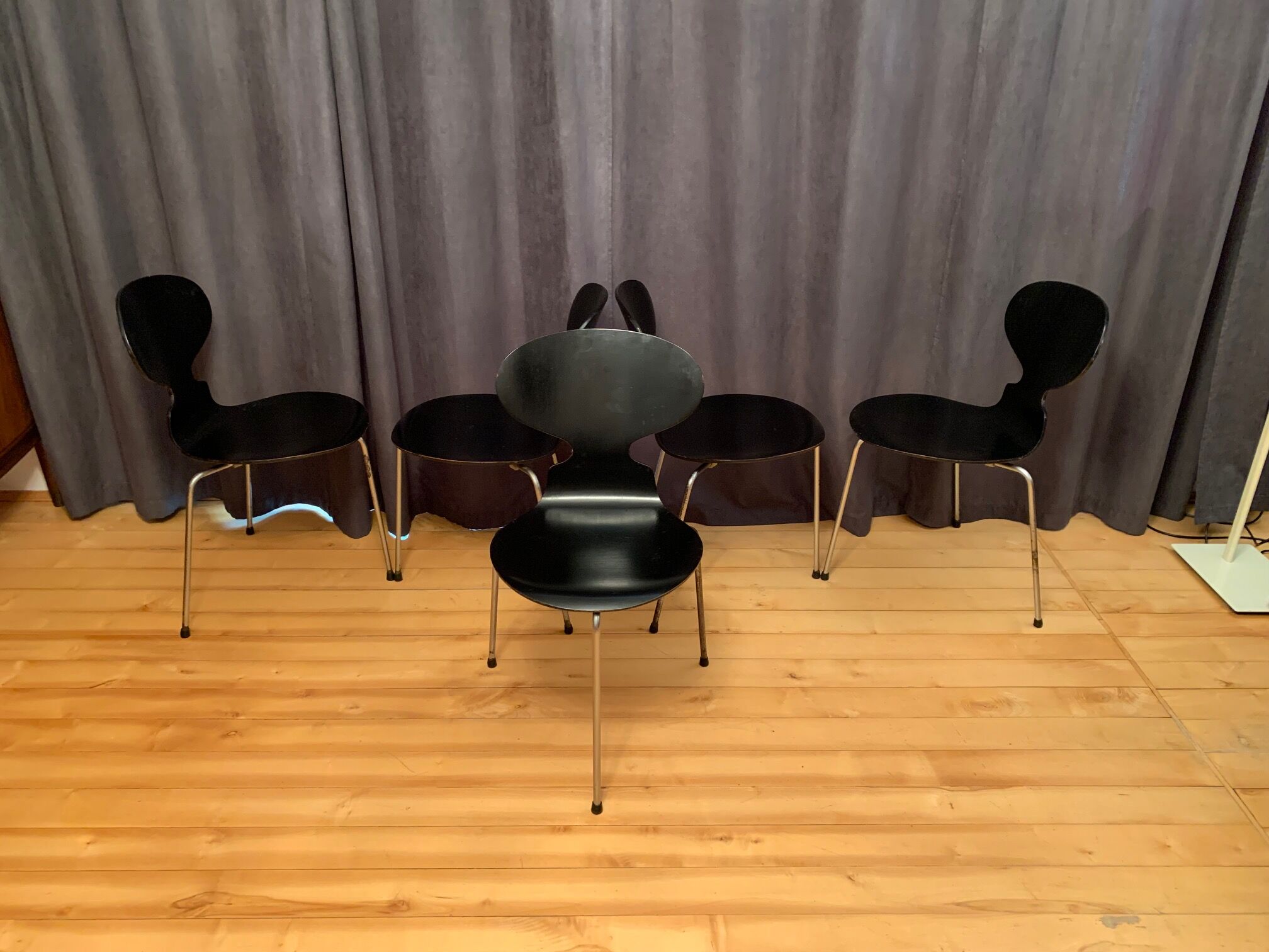 A set of five chairs Early model 3100 by Arne Jacobsen, Fritz Hansen, Denmark, 1963