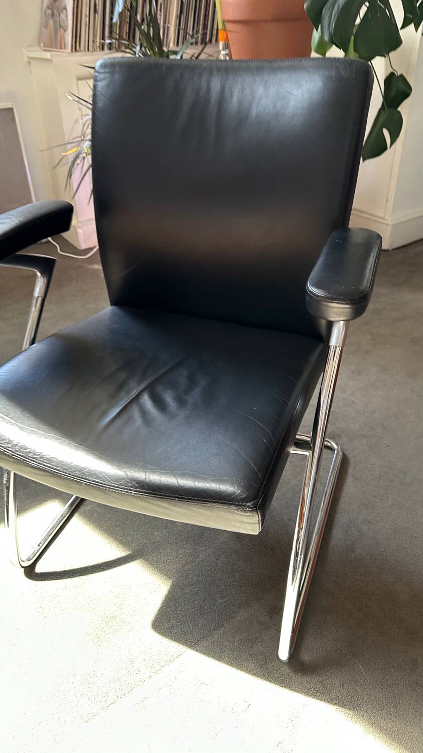 Walter Knoll Dining Chair - armchair / Leather and chrome chair