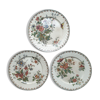 Plates Sarreguemines model "Madras"