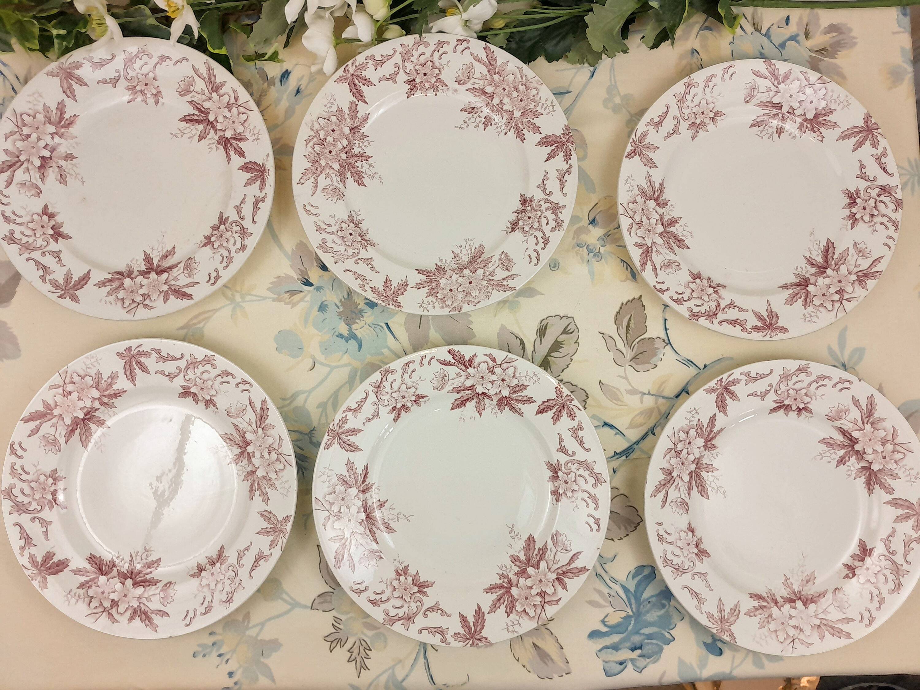 6 Amandinoise Anemone flat plates