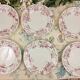 6 Amandinoise Anemone flat plates