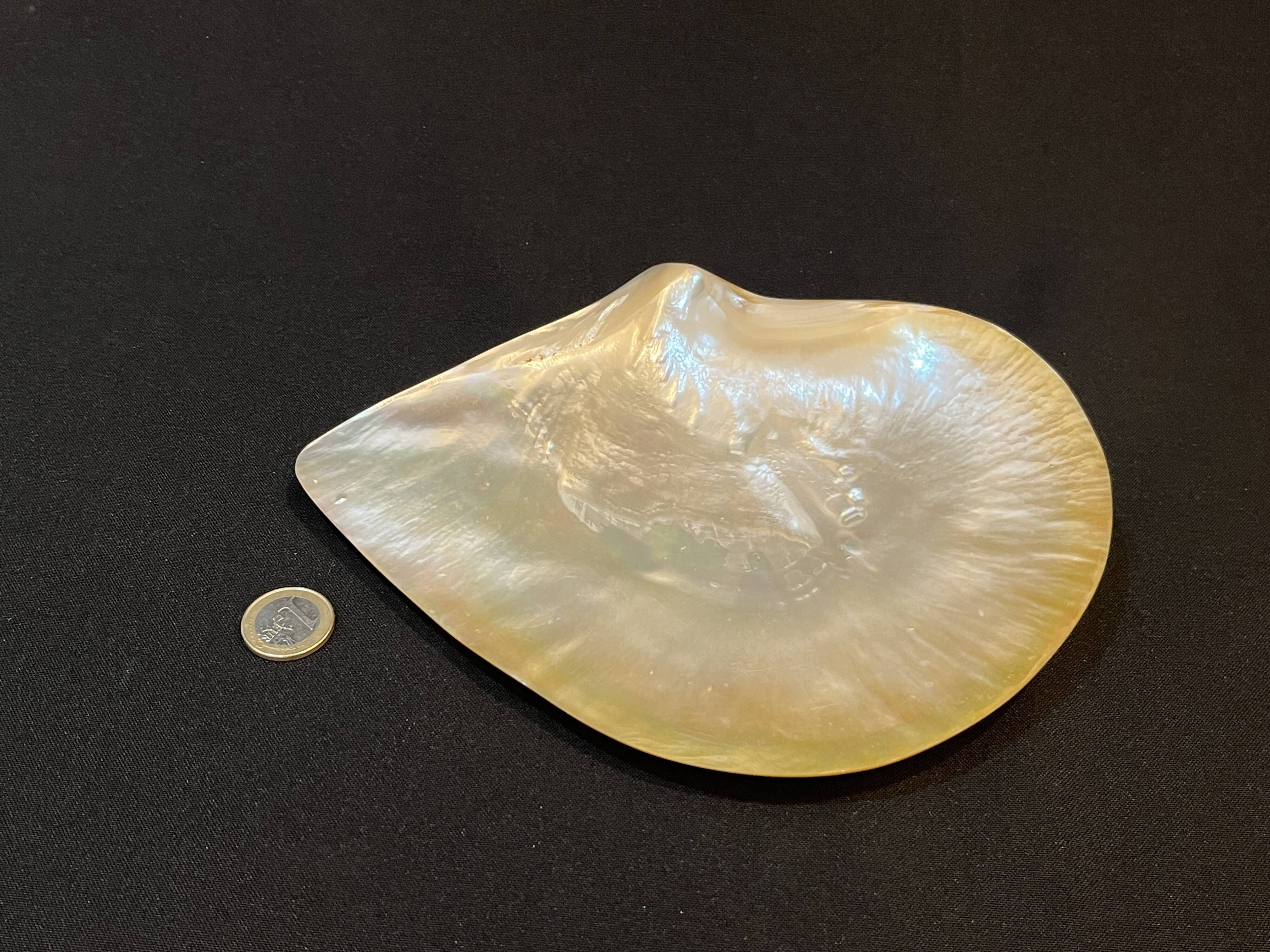Large mother-of-pearl oyster natural pearl trinket dish from the 70s