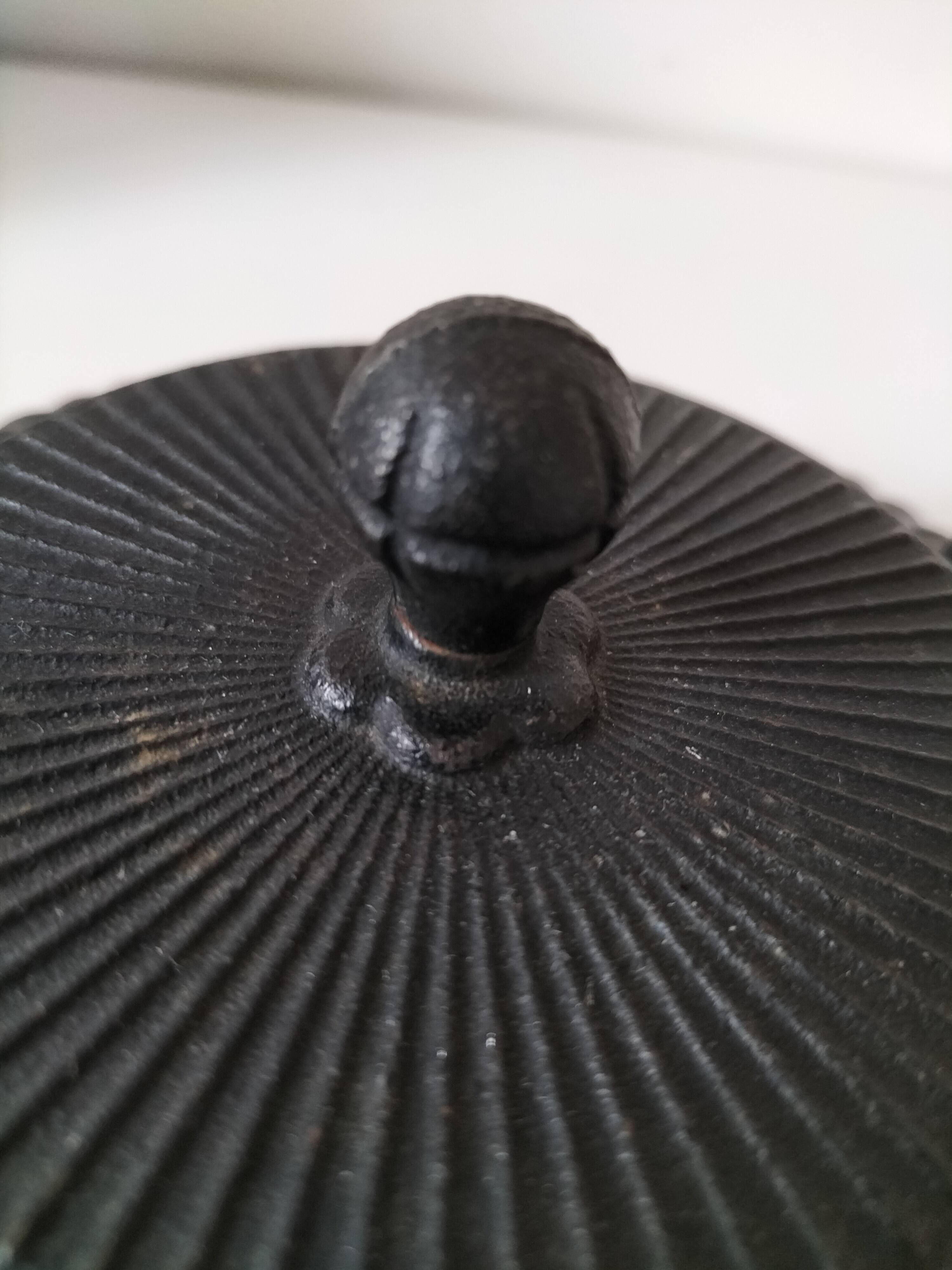 Black grooved cast iron teapot – Japanese Zen style