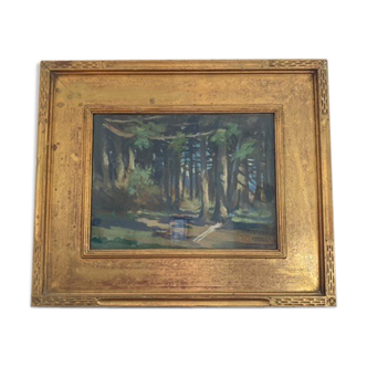 Oil on forest cardboard